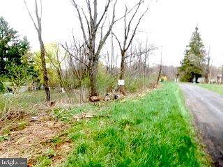 Elk District (Between Tramway Ave & Paughton Rd) - Photo 1