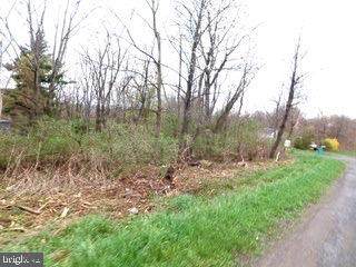 Elk District (Between Tramway Ave & Paughton Rd) - Photo 1