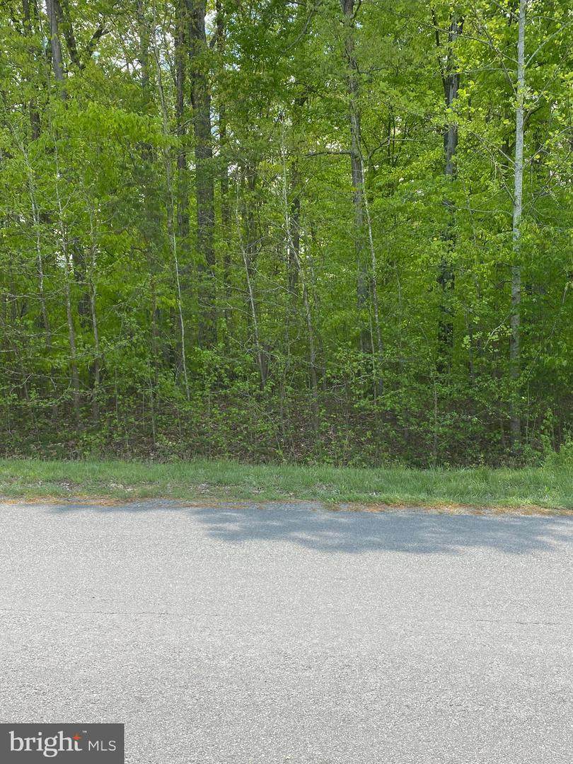 152 Cuckoos Nest Drive - Photo 1