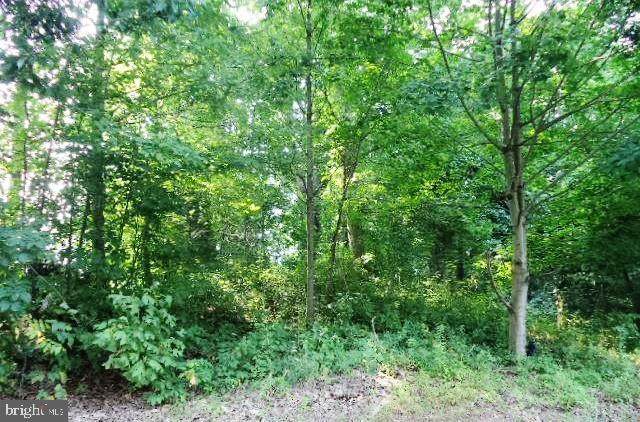240 Cragmoor Road - Photo 1