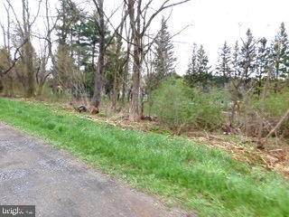 Elk District (Between Tramway Ave & Paughton Rd) - Photo 1