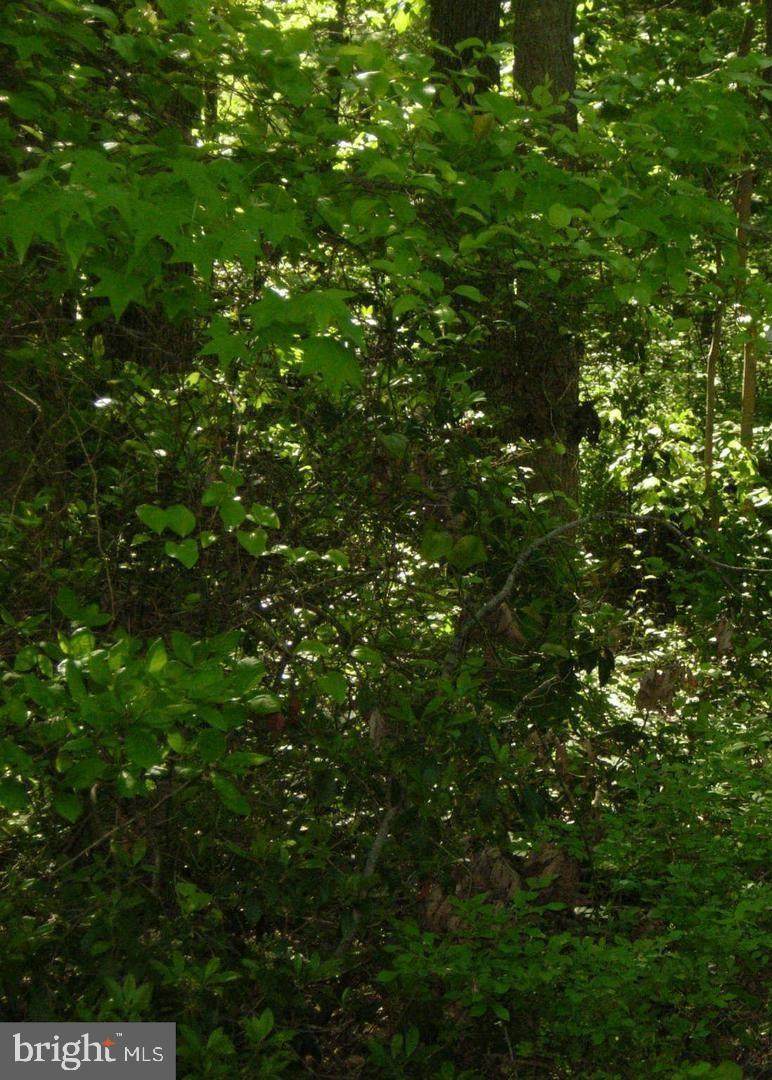 Old Elk Neck Road - Photo 1