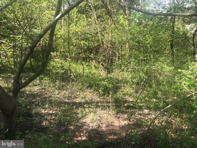 5603 Dogwood Tree Lane - Photo 1