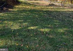 Lot 6 Grassy Lake Road - Photo 1