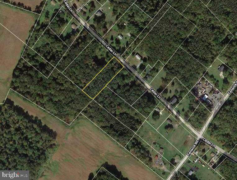 0 Cedar Lane - Photo 1