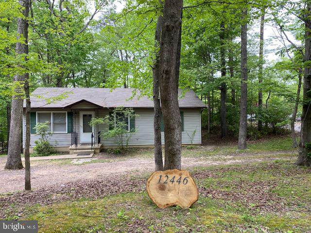 12446 Dalton Trail - Photo 1