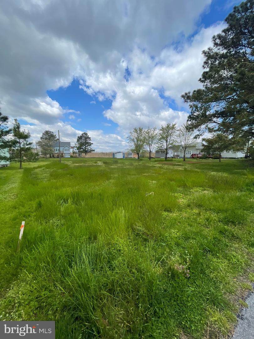 Lot 1 Bay Drive - Photo 1