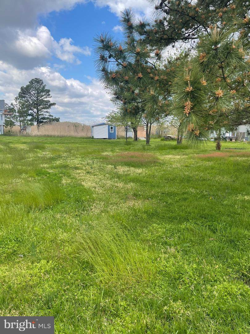41 Bay Drive - Photo 1