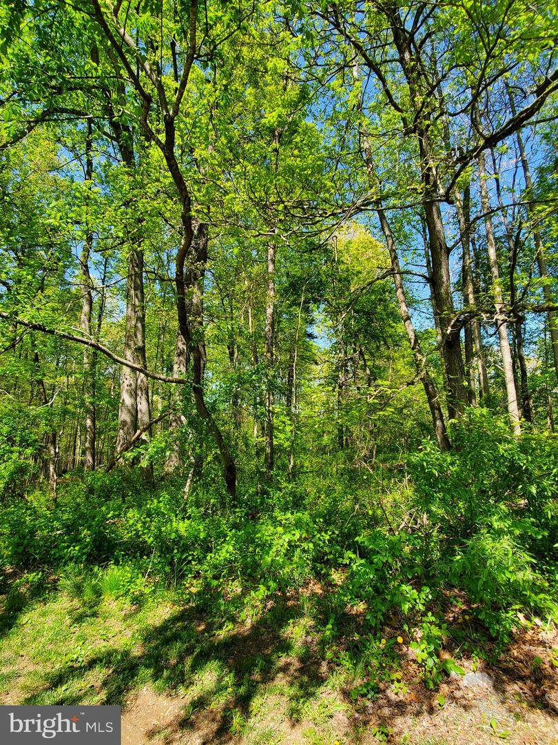 0 Drummer Hill - Photo 1