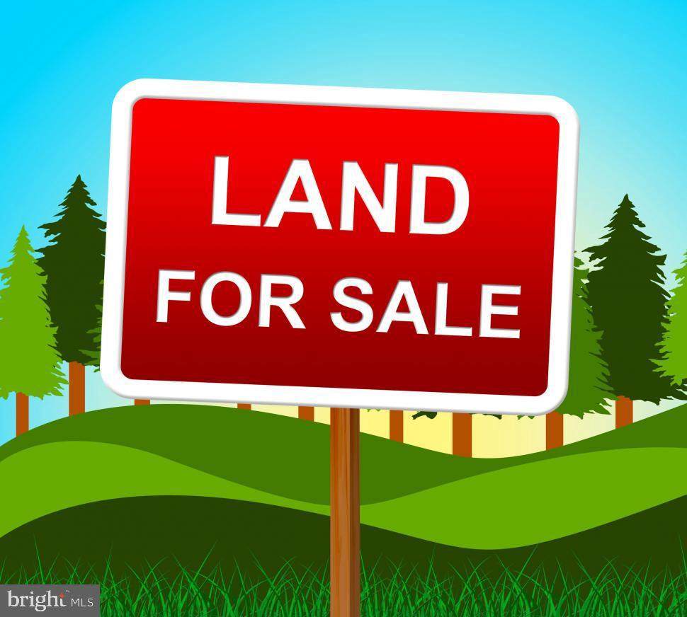 Lot -1 Old Bethlehem Pike - Photo 1