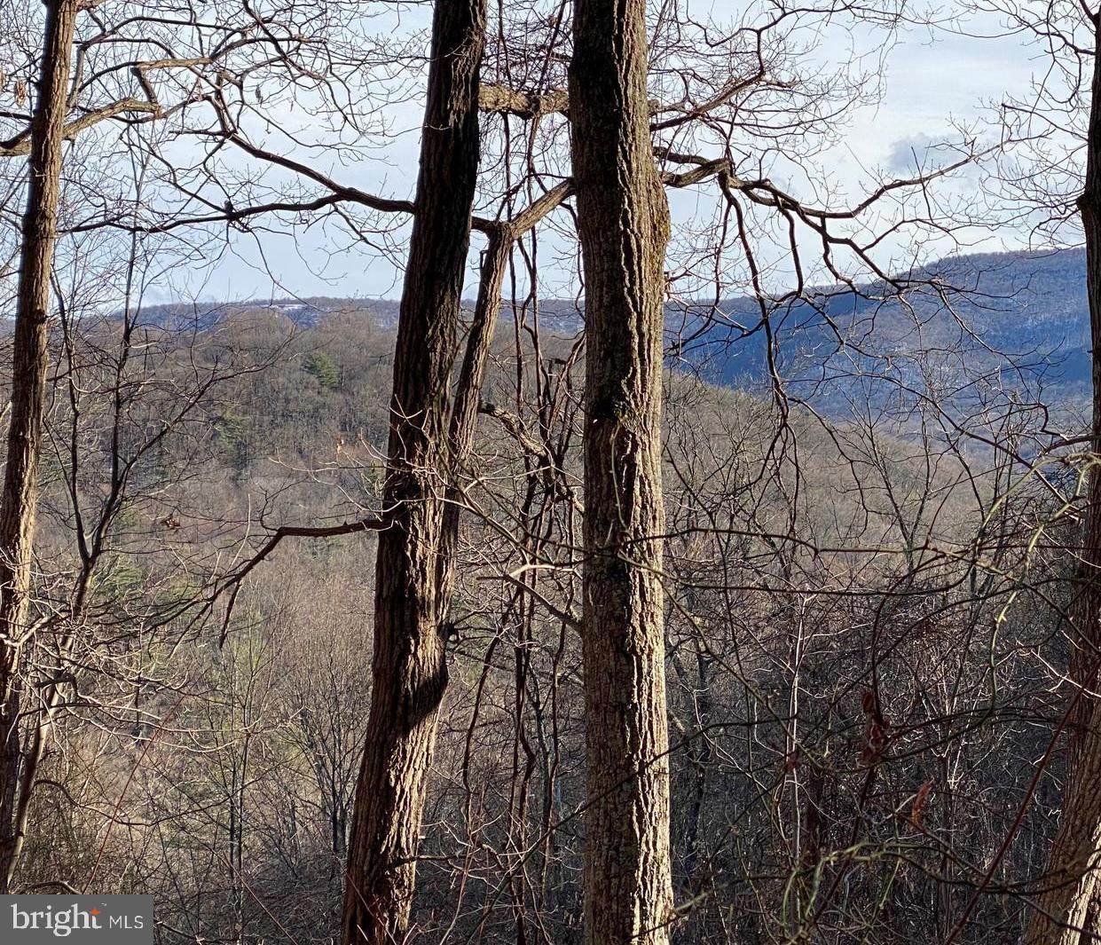 LOT 51A2 Gooney Manor Loop - Photo 1