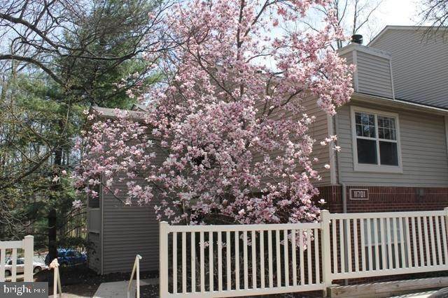11701 Olde English Drive - Photo 1