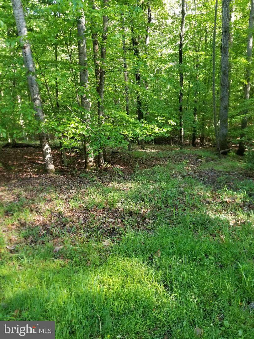 8147 Rondelay Lane - Photo 1