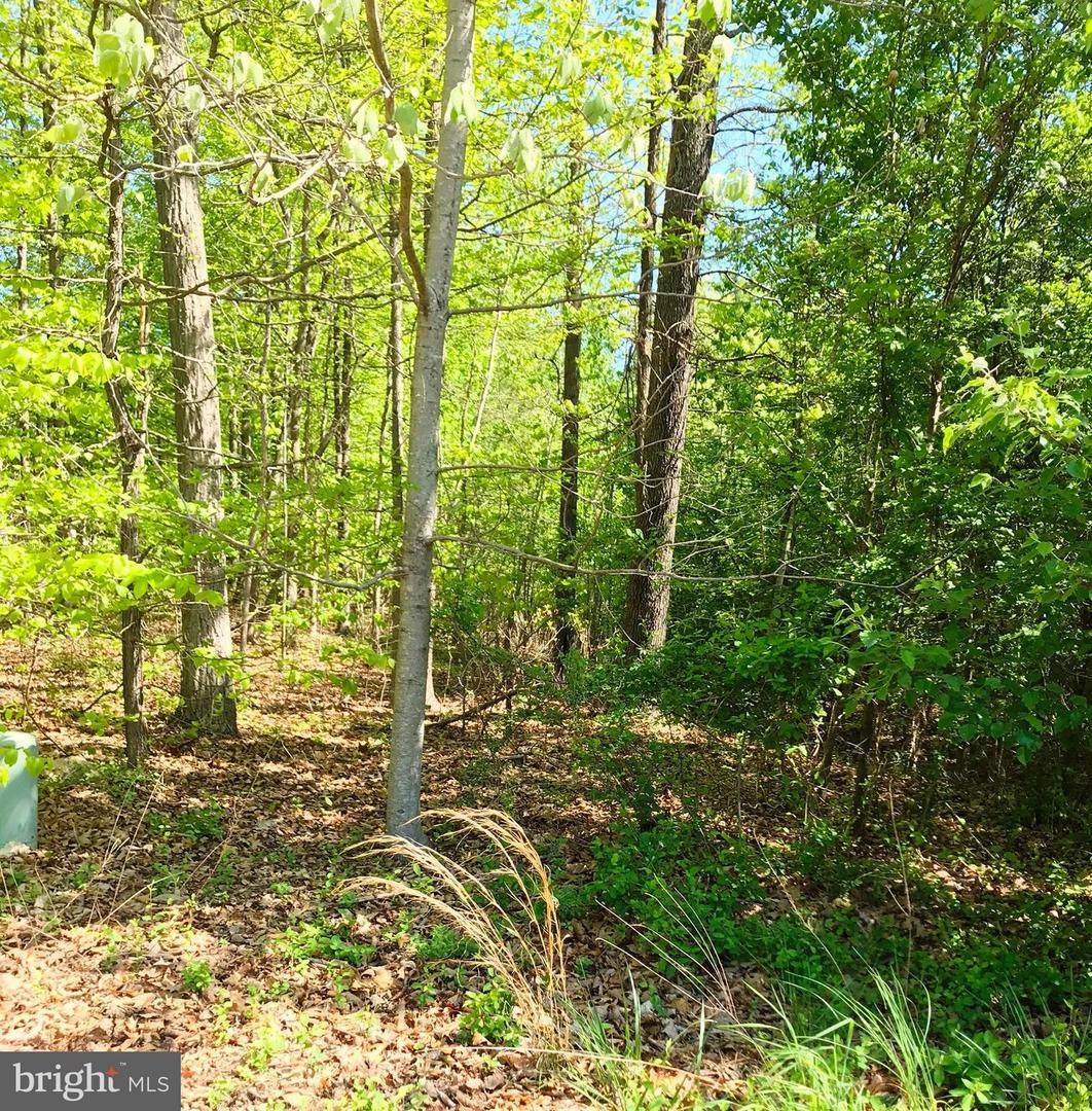 Woodholme Way - Photo 1