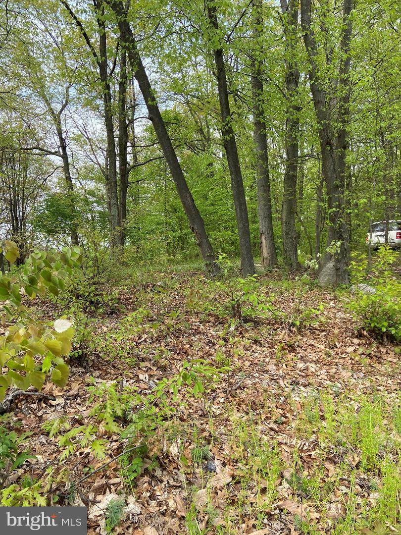47 Oley Road - Photo 1