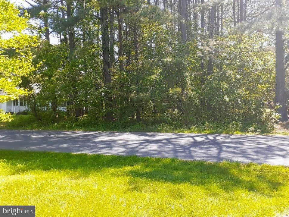 7 Cedarwood Drive - Photo 1