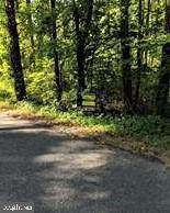 0 Klines Mill Road - Photo 1