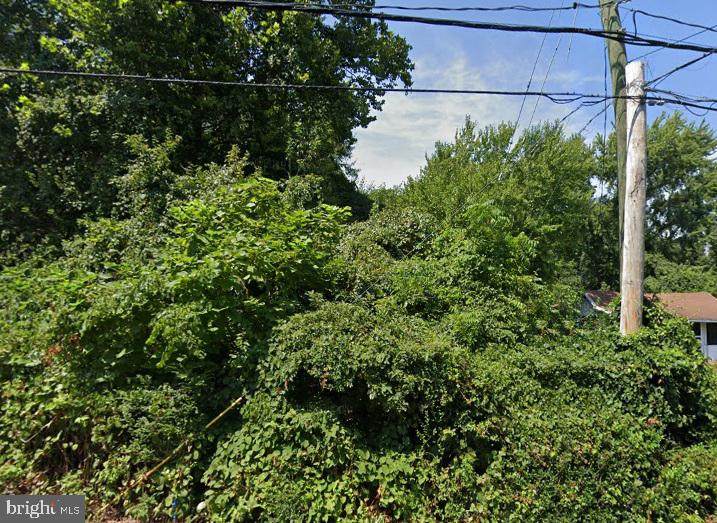8160 Hog Neck Rd - Photo 1