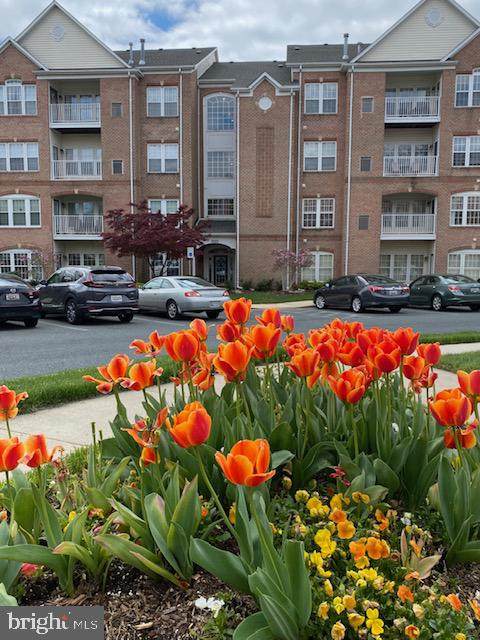 9500 Amberleigh - Photo 1