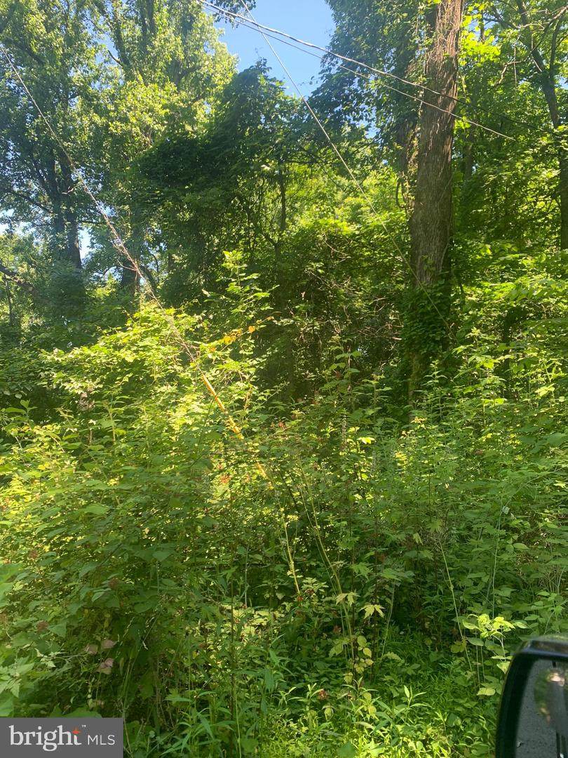 Oriole Way - Photo 1