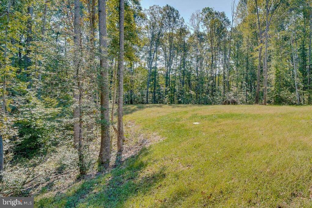 11201 Amabell Drive - Photo 1