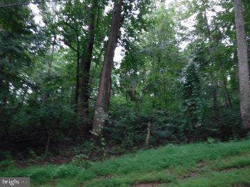 61 Toms Creek Trail - Photo 1
