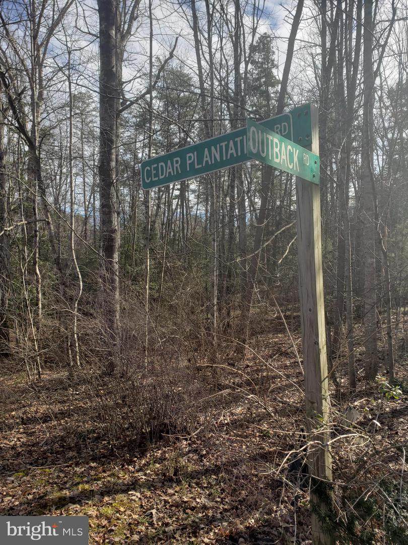 14127 Cedar Plantation Road - Photo 1