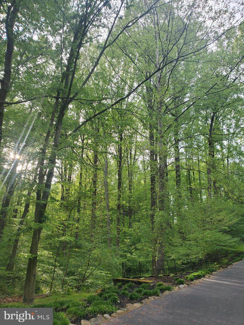 0019 Quartz Mill Road - Photo 1