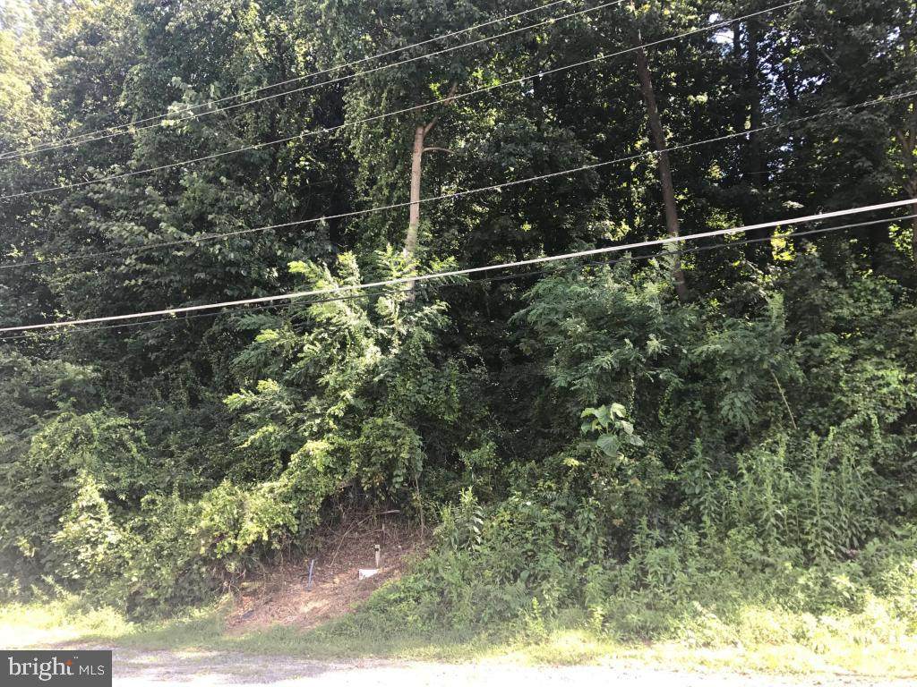 292 Rexmont Road - Photo 1