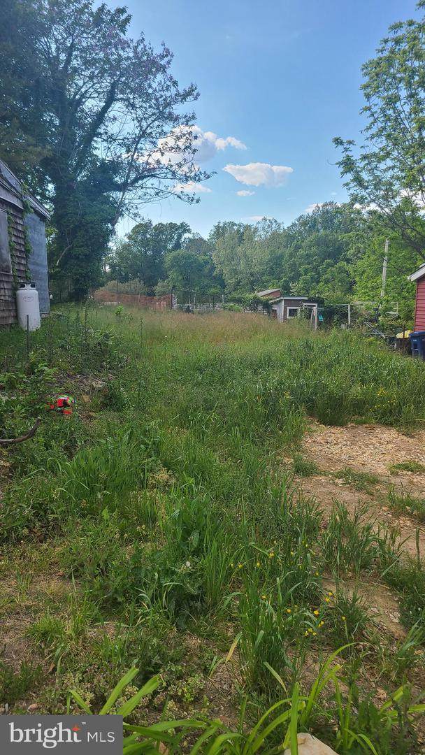 317 Liberty Street - Photo 1