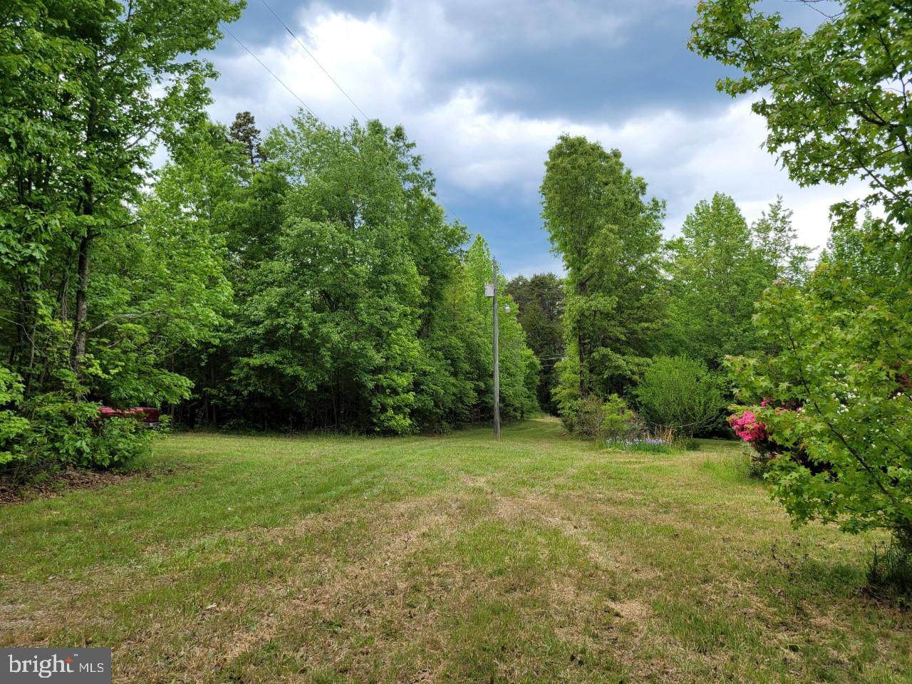 7050 Stubbs Bridge Road - Photo 1