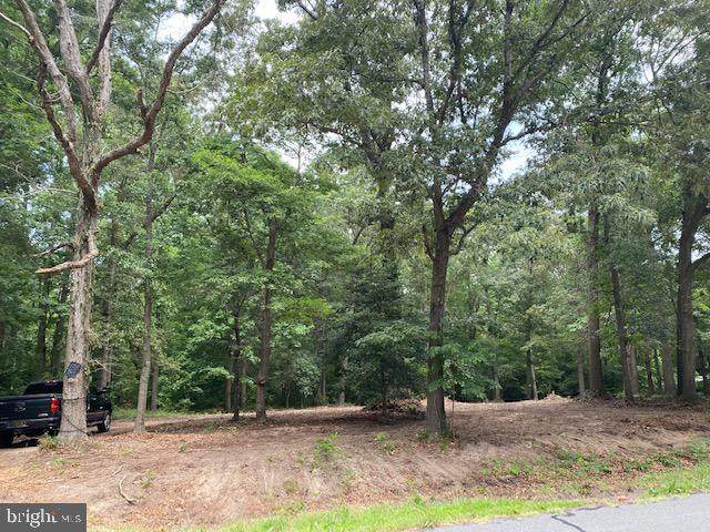 A2 Reynolds Pond Rd - Photo 1