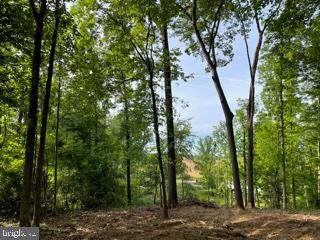 340 Black Oak Trail - Photo 1