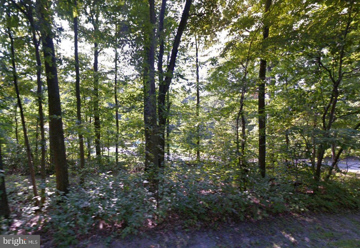 4916 Porterstown Road - Photo 1
