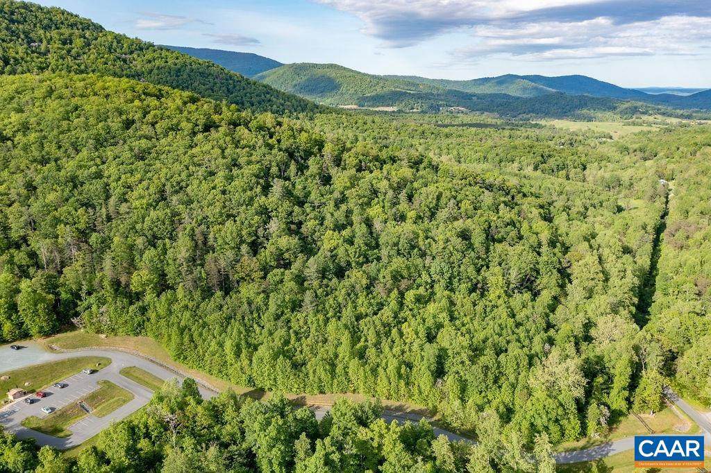 TBD Blackwells Hollow Road - Photo 1