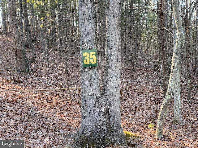 Lot 35 Lookout Ridge Drive - Photo 1