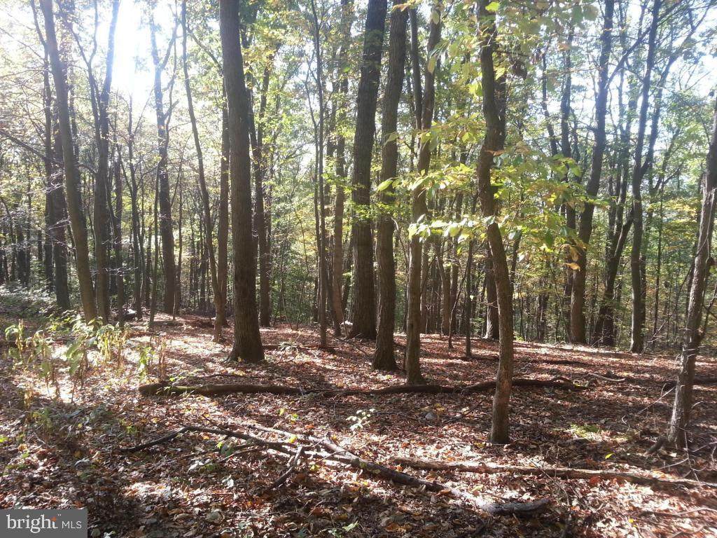 0 Beagle Road - Photo 1