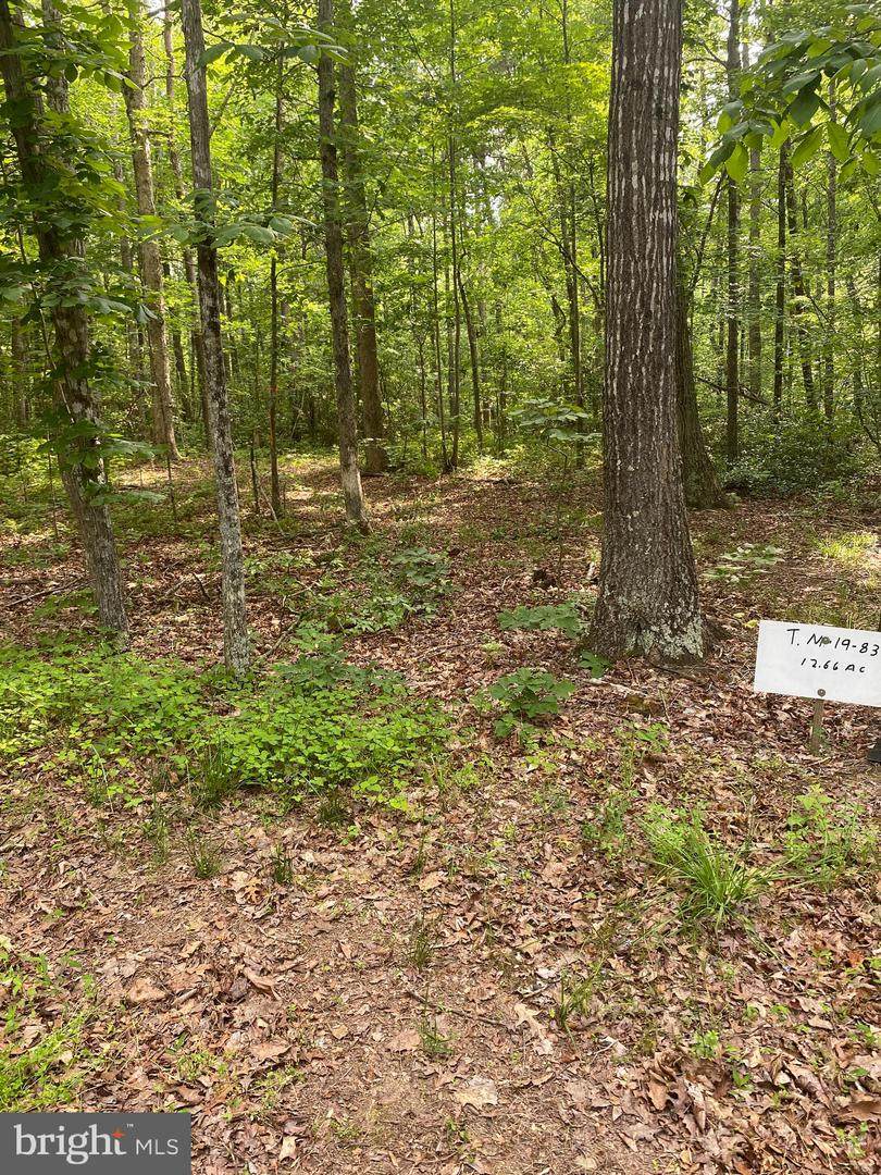 0 Pettie Lane - Photo 1