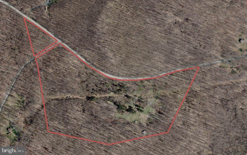 1734 Walnut Bottom Road - Photo 1