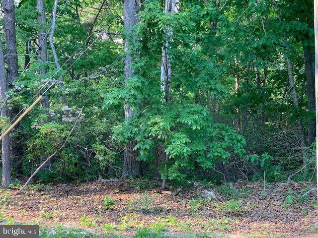 Buck Road - Photo 1