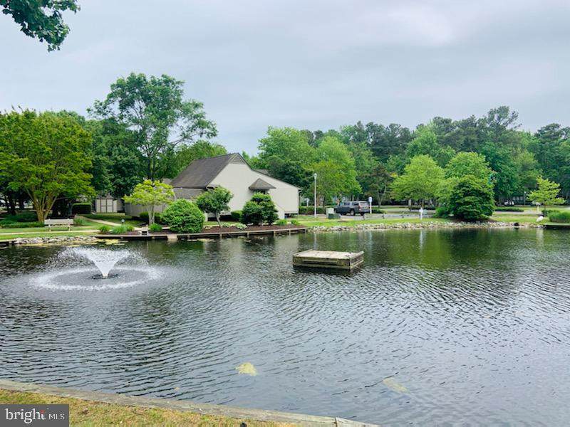 39685 Round Robin Way - Photo 1