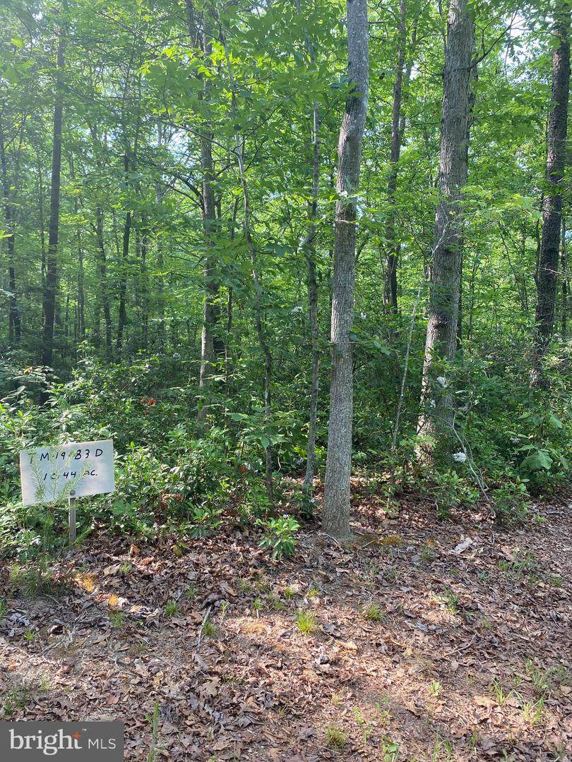 Lot 2 Spring Hollow - Photo 1
