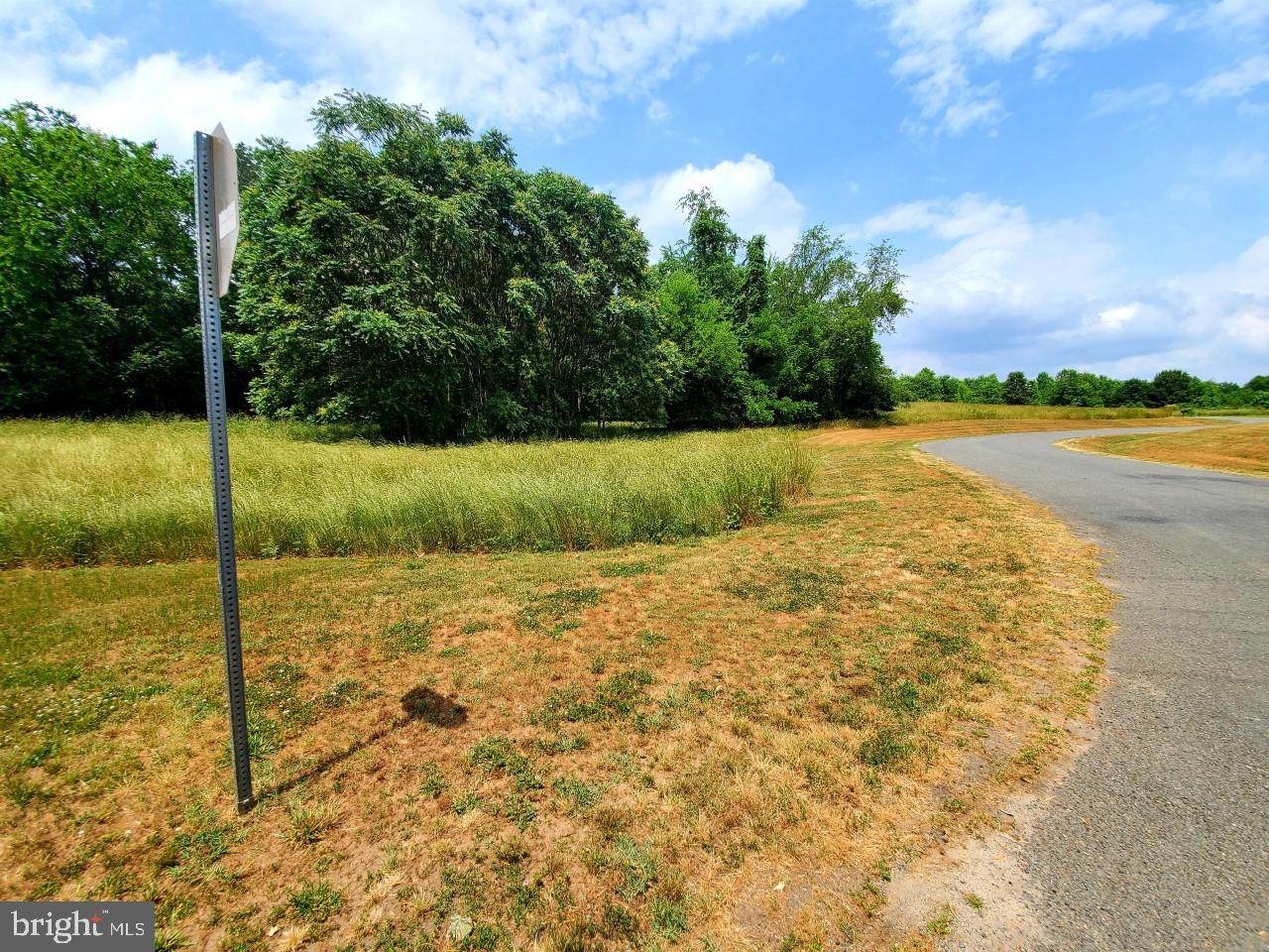 Bear Court - Photo 1