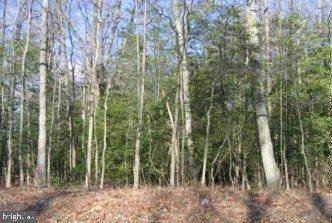 8193 Forest Glen Drive - Photo 1