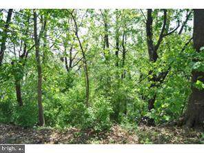 0 Elk Avenue - Photo 1