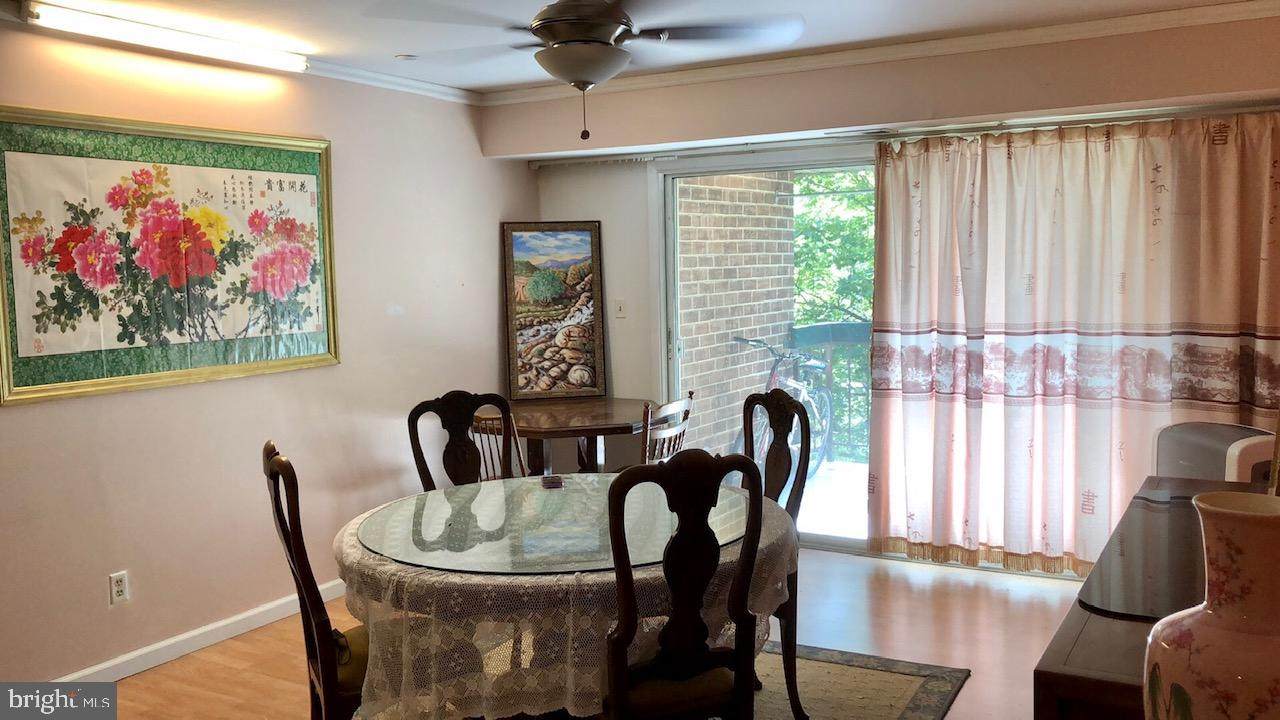 7903 Coriander Drive - Photo 1