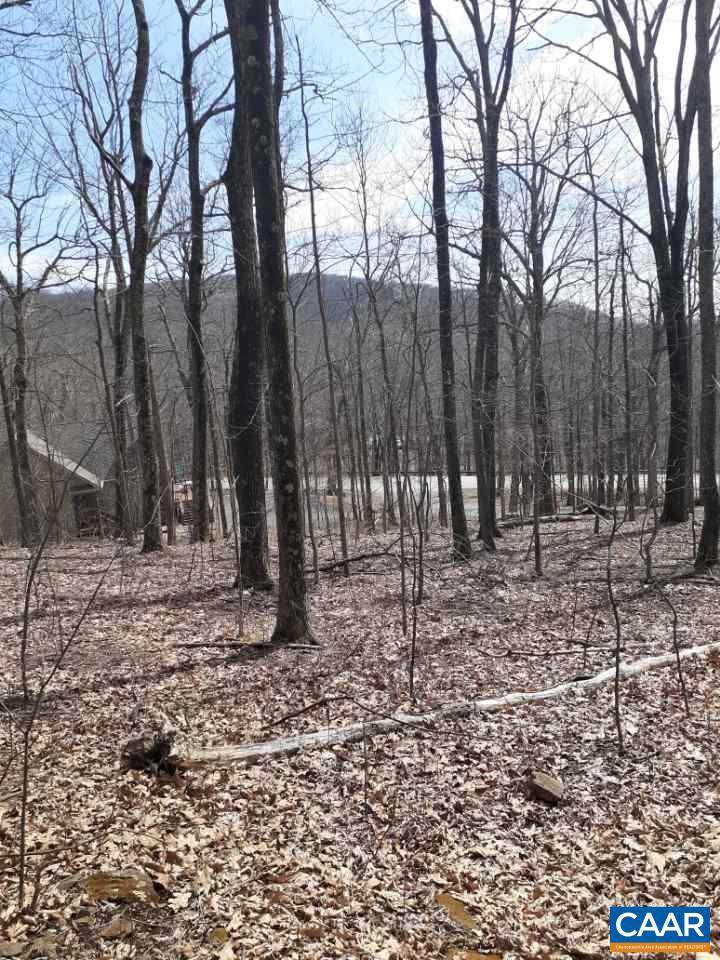 42 Chestnut Ridge Road - Photo 1