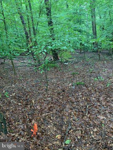 16511 Boot Hill Road - Photo 1
