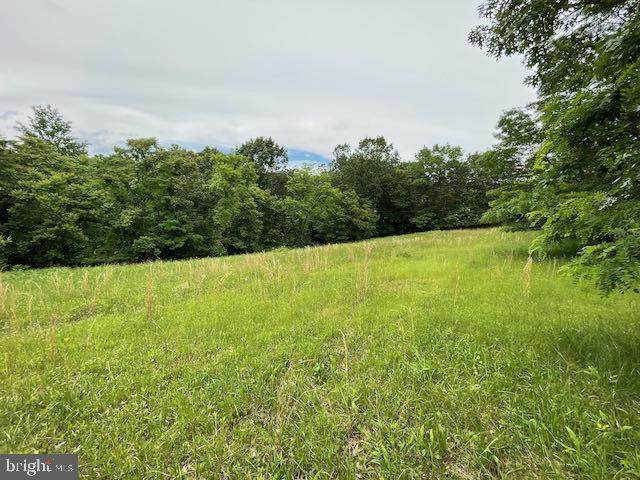 11415 Oak Tree Ridge Road - Photo 1