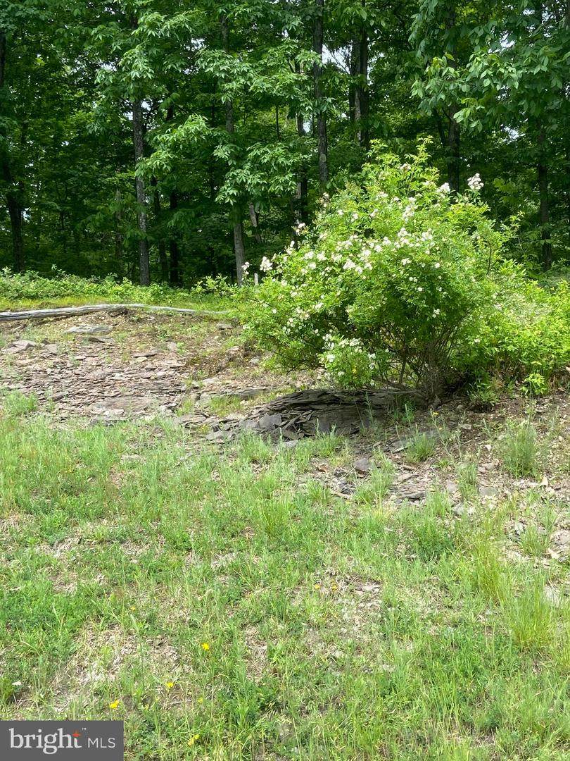 36 Scenicview Drive - Photo 1
